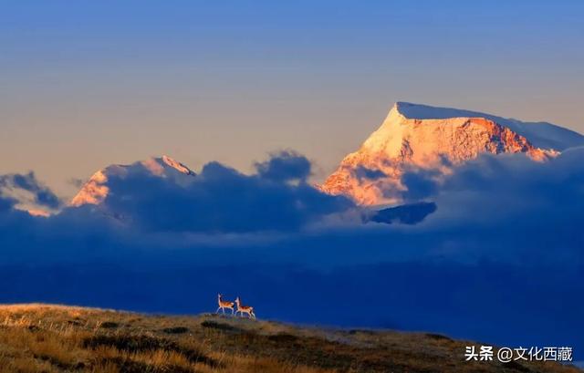 你的性格，决定了你打开西藏阿里的方式！来测一测~