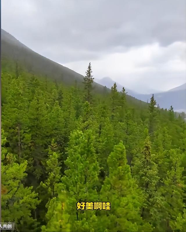 闯祸了！央视主持人国外游，携妻女高调炫海外生活，被网友骂惨