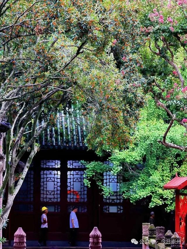 崇州新品“香氛”已上线，隔着屏幕都闻到了香味
