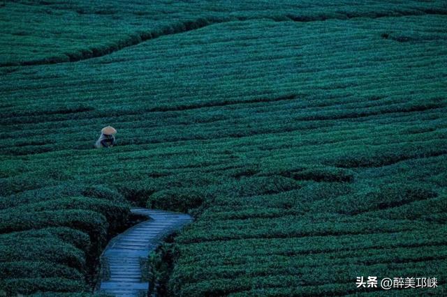 看完《山水间的家》，一人说一个爱上夹关镇的理由！