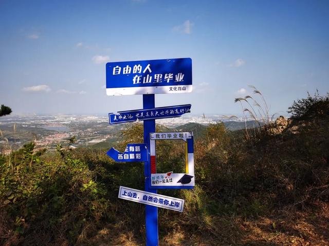 重阳节登高望远