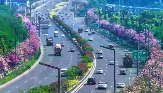 泸州景色宜人，网友：中国的小城市足以秒杀世界上的超级城市