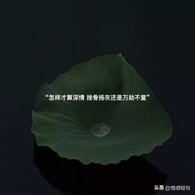 特别成熟的高级文案