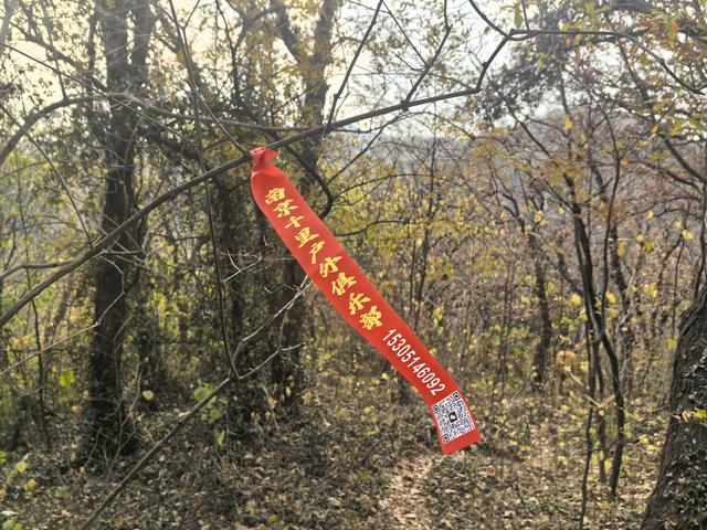 南京幕府山（东线）郊野徒步