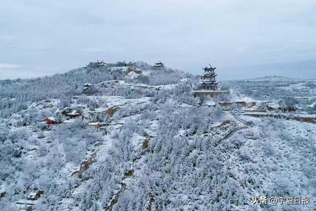固原首场秋雪奏响季节交响曲 这是一次秋与冬的诗意碰撞