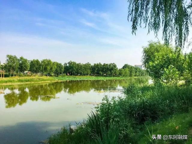 码住！六大公园带你领略江北水城的诗意与浪漫~