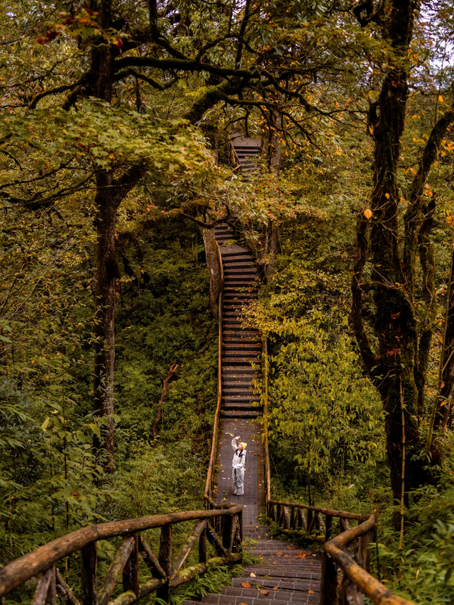 神图有了！在龙苍沟，出片还不是手拿把掐