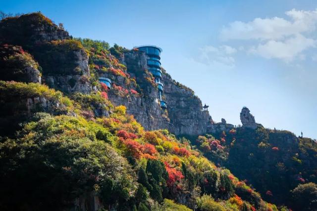 来淄博“捡秋”！海岱楼、周村大街…全被捡出来了→