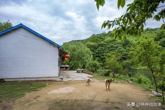 那年我下岗摆摊卖菜，遭女友嫌弃退婚，隔壁摊大娘把女儿介绍给我