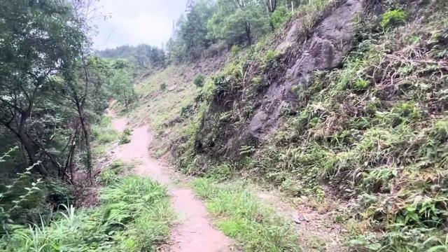 重庆荒效野岭发现大量石碑，碑身高大雕工精美，每块都有百年历史