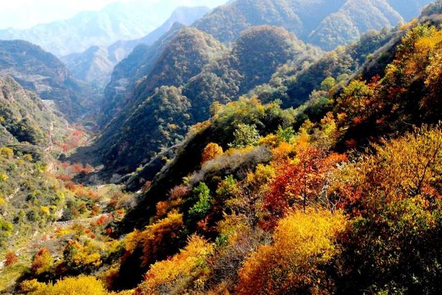看漫山红叶、赏壮美秋景，邢台这些地方千万不要错过
