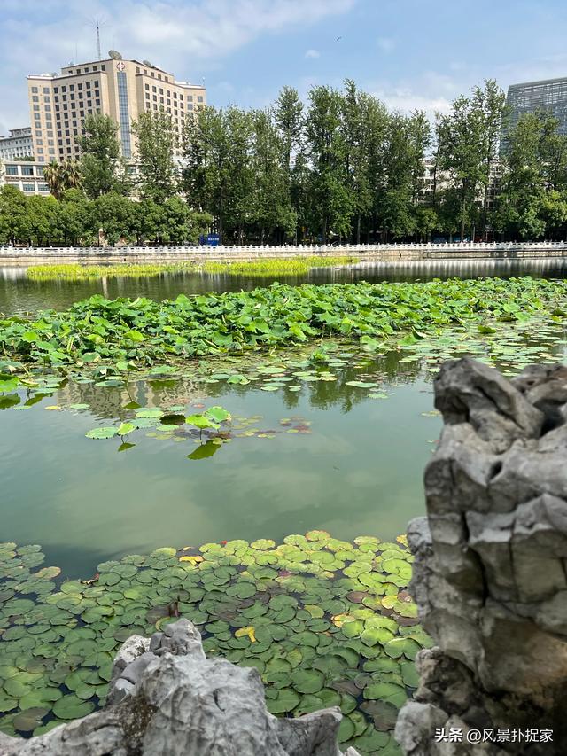 昆明翠湖公园，生态绿洲！
