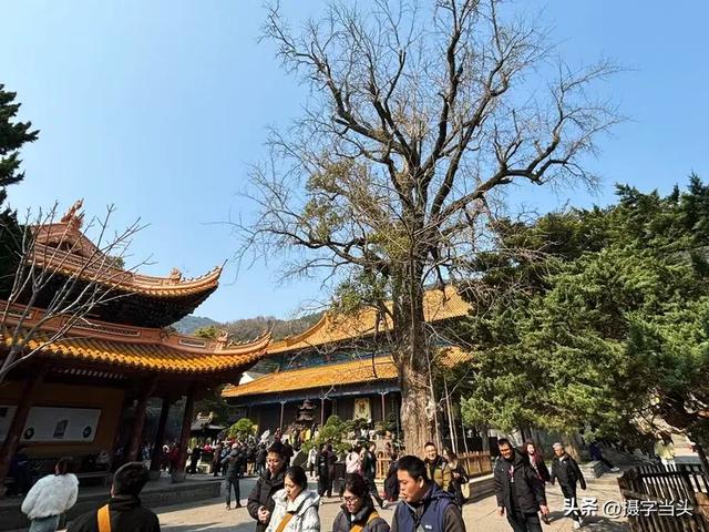 东海之滨——海天佛国普陀山