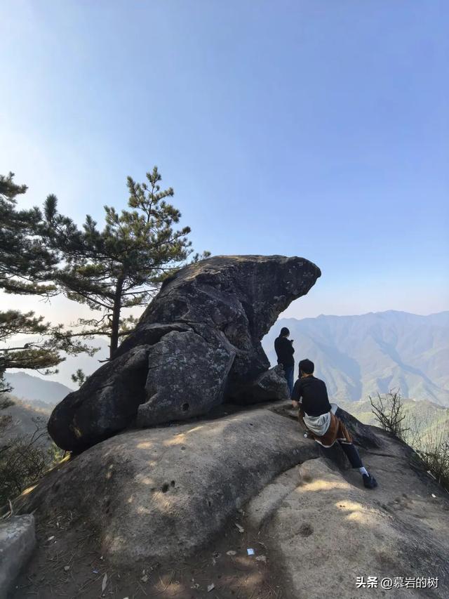 衢州老鹰石游步道，竹林里的徒步登山道