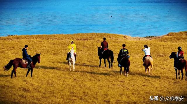 -10°C也拦不住！被窝里哪有马背上潇洒？小泰成功解锁泰安冬季最野玩法！