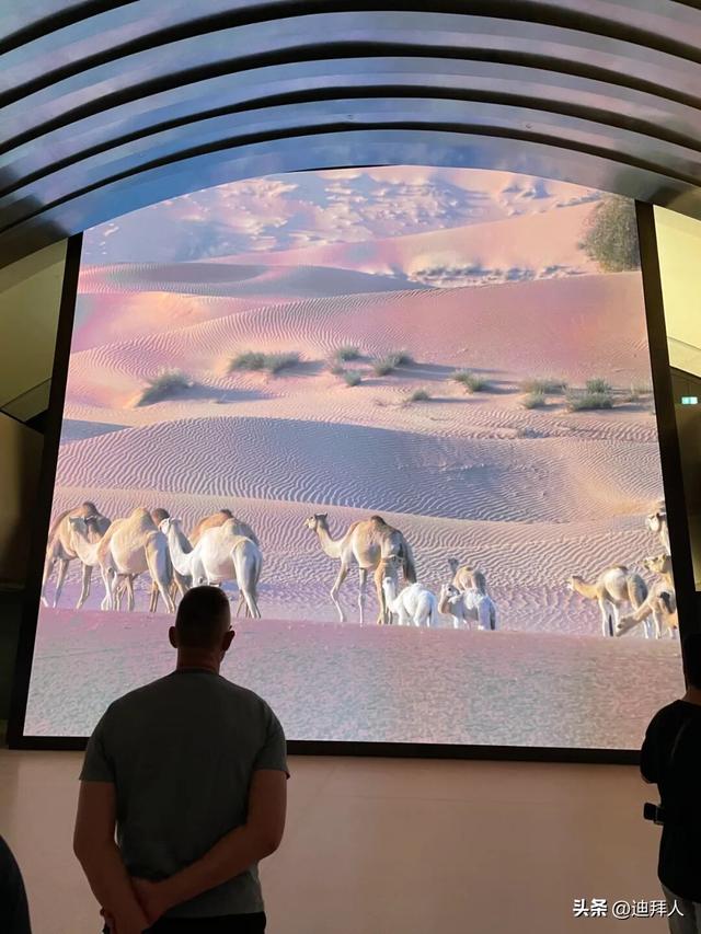 阿布扎比新地标！实地打卡「扎耶德国家博物馆」（附参观指南）