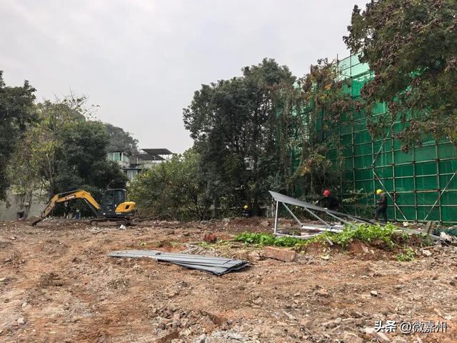 城建第一线｜嘉定书馆本月底开门迎客，乐山绘就历史文化名城保护新图景