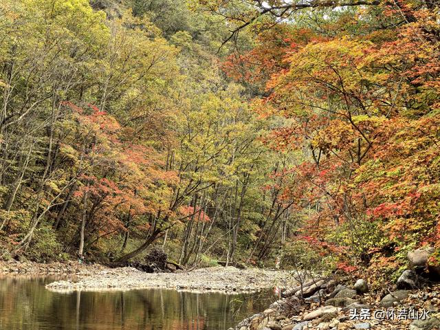 2025辽宁赏秋之旅日记(2)——游览丹东蒲石河森林公园