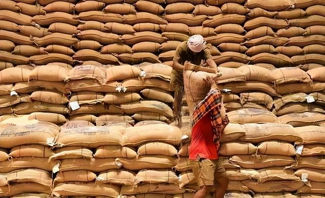 同样14亿人口，为什么中国满世界买粮食，印度却能大量出口？
