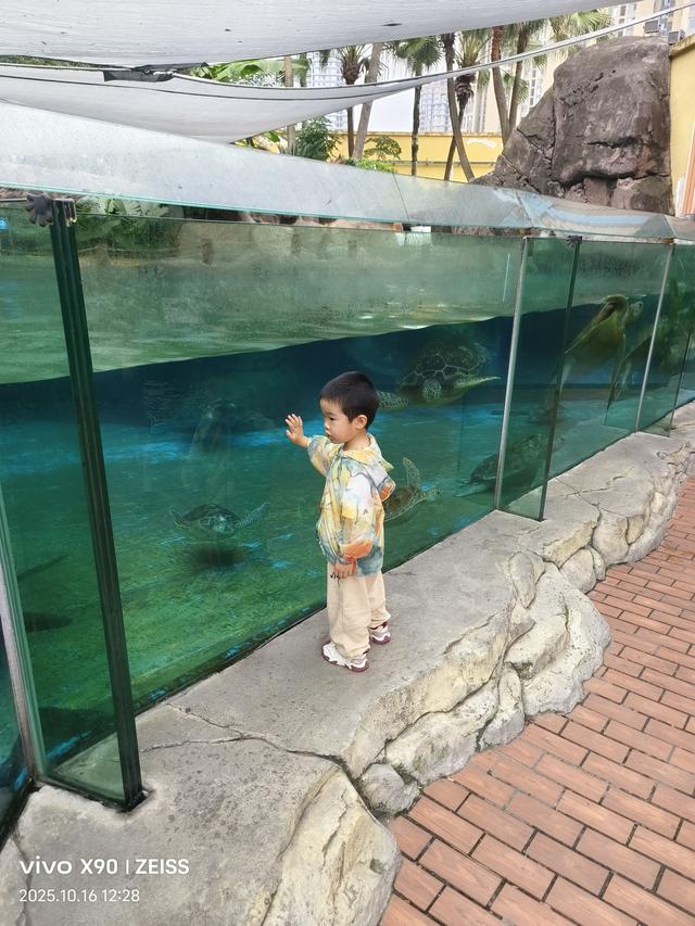 成都 极地海洋公园（58）2025年10月16日