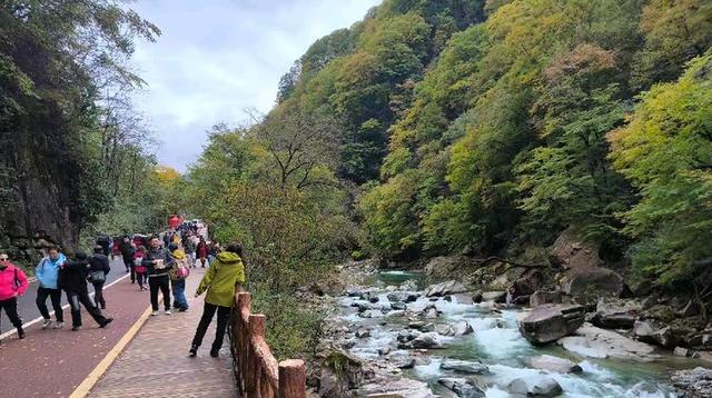 排队游览光雾山