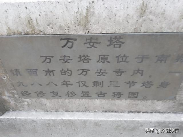 万万没想到上海的古猗园是这样的