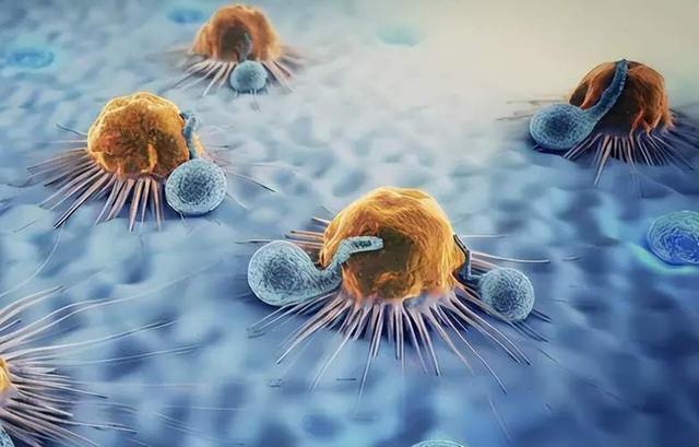 长期喝茶的人	，最后都怎样了？研究发现：每天2-3杯茶或可延寿