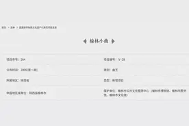 ​​身边的非遗～北腔南调的榆林小曲，情深意长暖人心图片