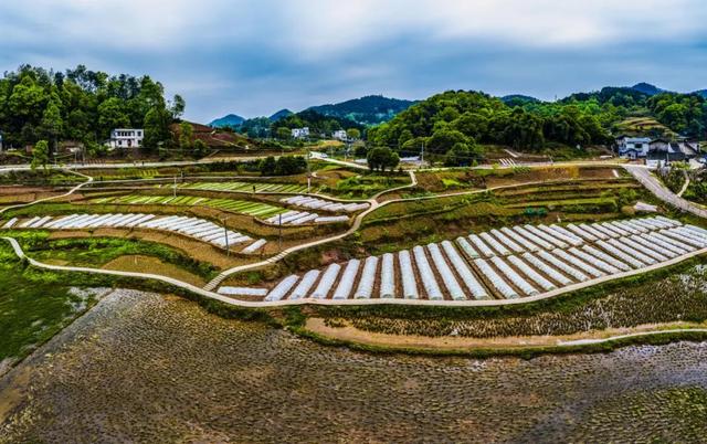 地名里的重庆 | 巴南姜家镇，因姜氏酿酒成名