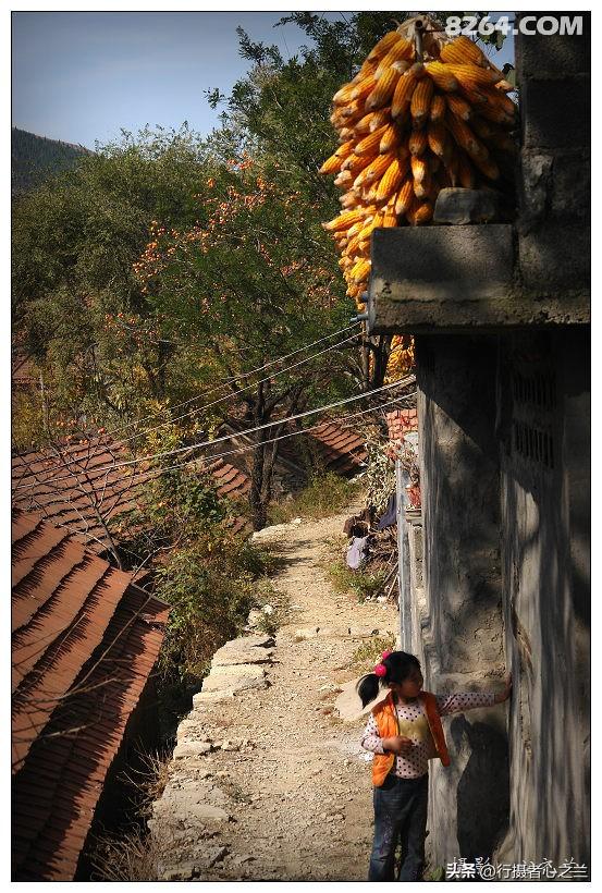 山东行游影记（194）—青州仰天山柿子沟（二）