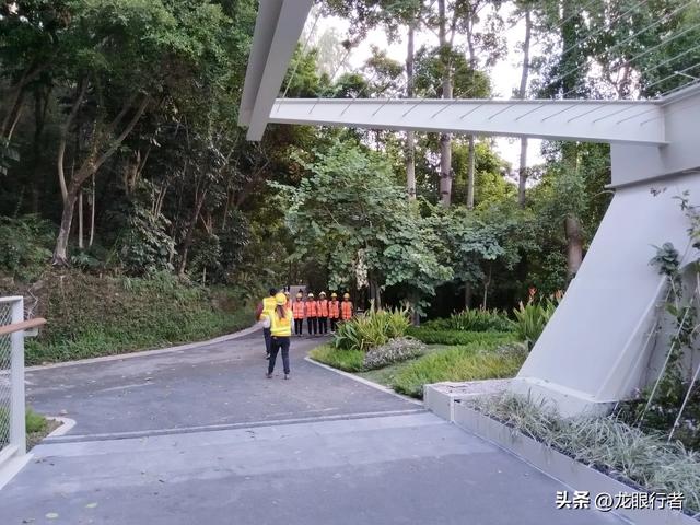 从地铁口出发，游逛刚刚开放的鲲鹏径二号及三号桥