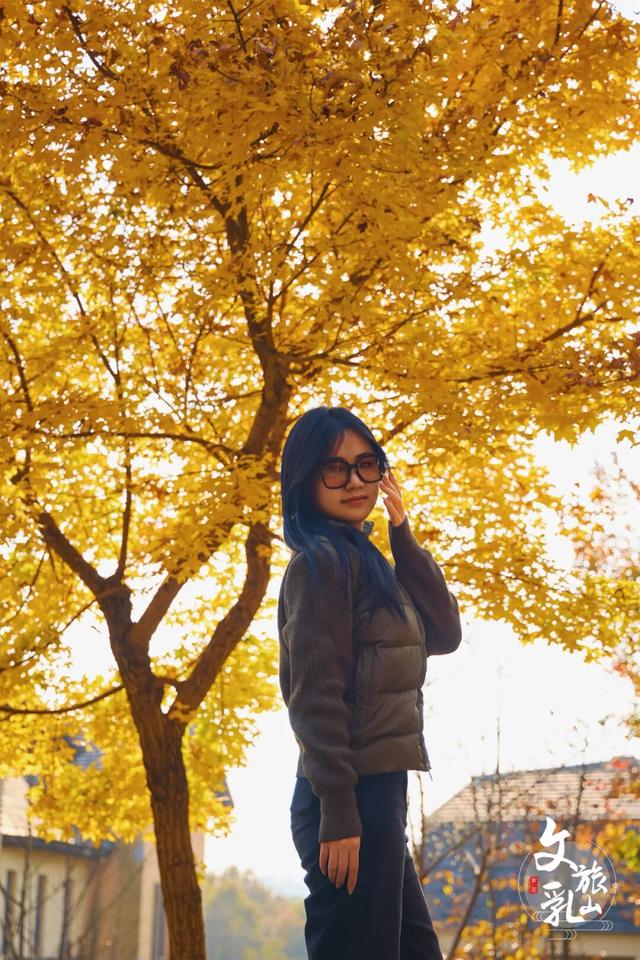 当秋风吻过乳山：一场关于色彩与治愈的漫步指南