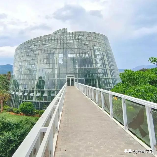 初冬氛围感出片计划,走起!昆明这份打卡攻略速速收藏→