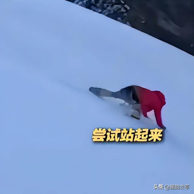 驴友雪山坠崖后续:身份曝光，摔倒时曾绝望呼救，网友:不值得同情