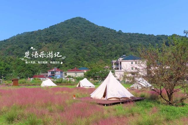 浙江宁波的山谷粉黛花海背山面溪，幽静而浪漫，周边景色更加迷人