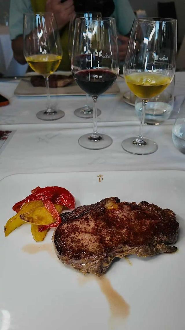 欧洲精英的西班牙浪人计划：圣地亚哥之路