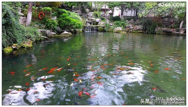 山东行游影记（11）—济南趵突泉（十一）