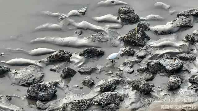 彩色旅图｜光影里的霞浦：捕捉退潮日出的瞬间，沙滩带着酒窝微笑