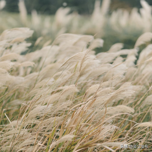 周末去打卡丨太好拍~东太湖绝美机位，“框框”出大片！
