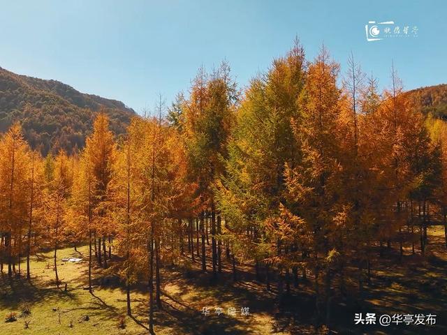【映像华亭】华亭秋日，佐以人间烟火