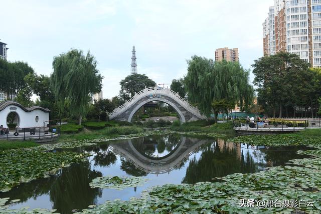 五一桥公园：藏在城市里的江南梦境