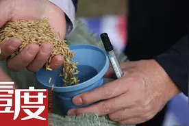 中国杂交稻——半个世纪的禾下追梦图片