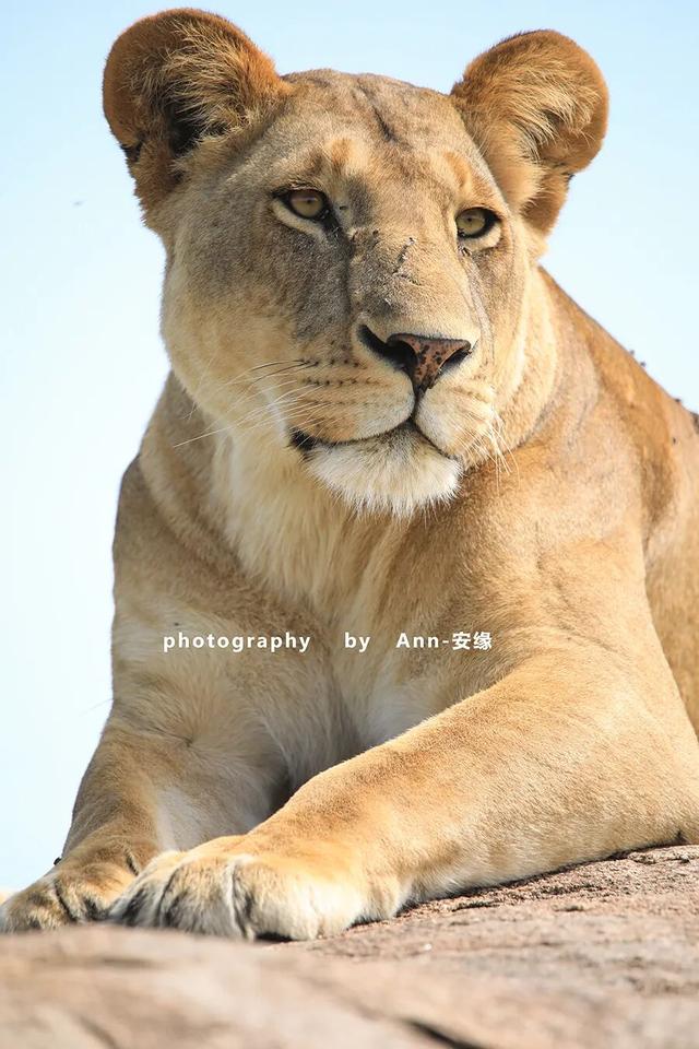 博茨瓦纳：死贵的旅游地，是值得追梦，还是被过度神话的伪天堂？