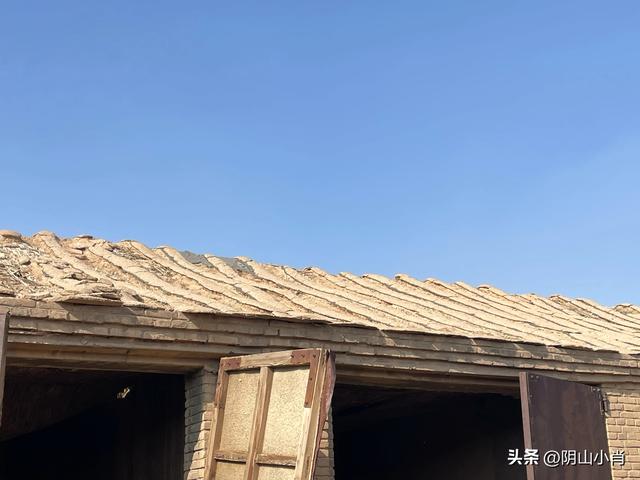 达茂联合旗巴音花嘎查野外考察笔记
