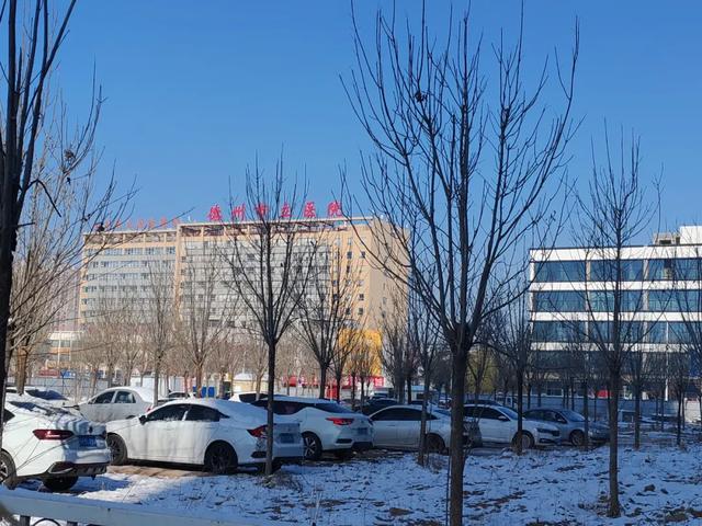 德州原城隍庙里种上了树,重修城隍庙有必要吗?