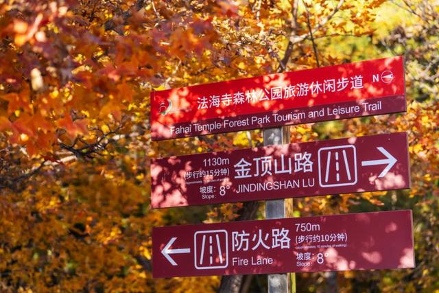 收藏一个秋天,石景山绝美秋色大公开