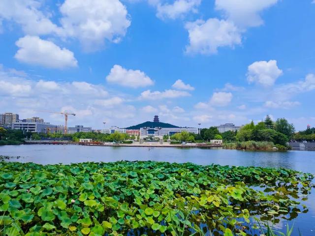 城景相融！城市中的诗意绿洲，来薛城赴一场“穿越时空”之旅！