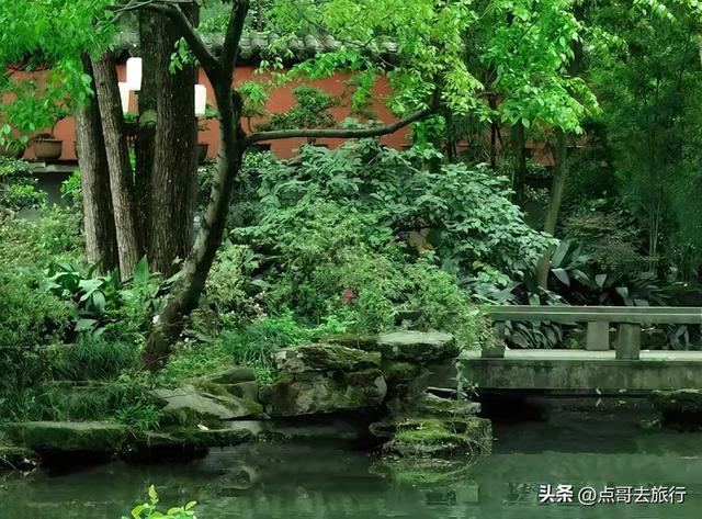 成都主城区老牌公园，最适合乘凉避暑，超级舒服，地铁公交直达！