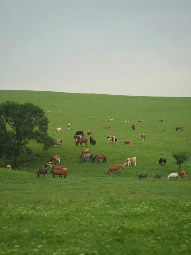 我爱这络绎不绝的无意义的瞬间 ​