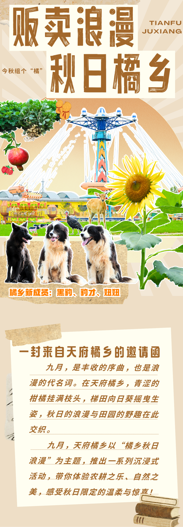 好多人啊！初秋金堂这个“橘”你去了吗